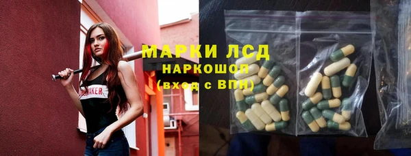 шишки Дмитровск