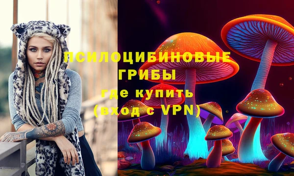 сатива Дмитриев