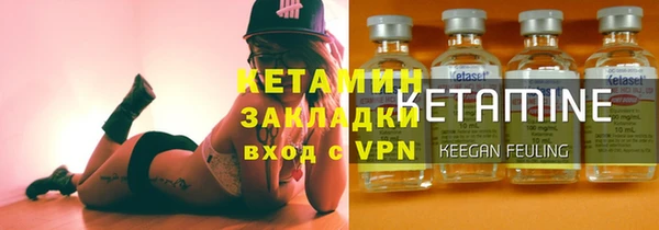 сатива Дмитриев
