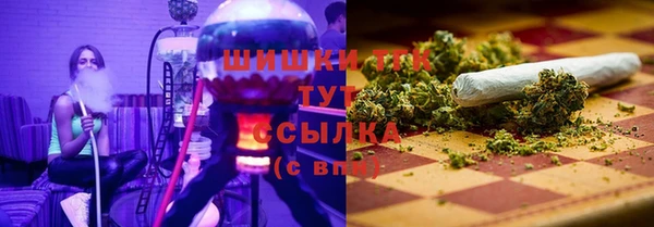 СК Елабуга